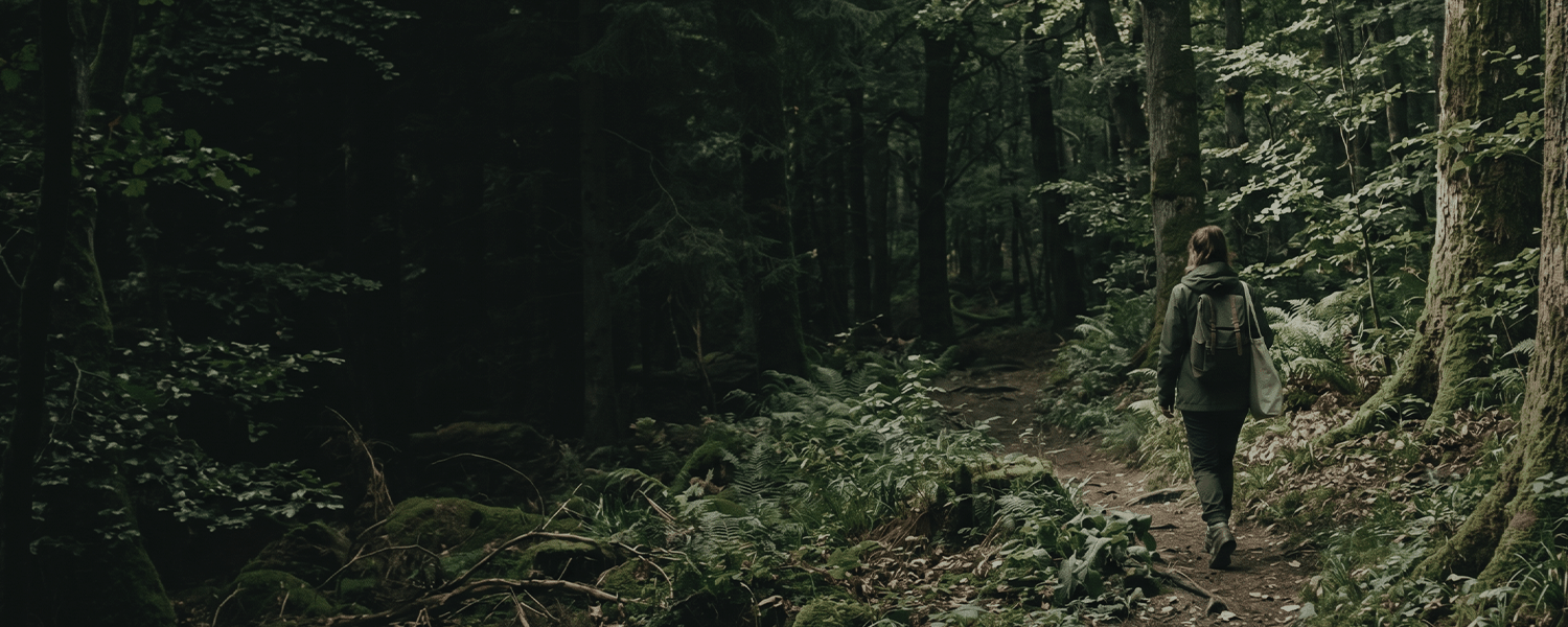 Responsible factory practices represented by a forest path